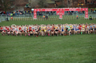 Intermediate girls 2019 New Balance English Schools Cross Country Champs, Temple Newsam, Leeds. Photo:  David T. Hewitson/Sports for All Pics